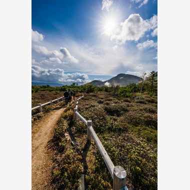 高木勇斗が撮影した「風景」の写真