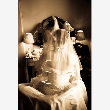 Sakamoto photo (坂本写真)が撮影した「当日写真」の写真