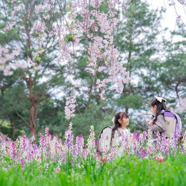 小森山雄三が撮影した「入園、入学」の写真