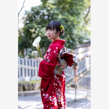 あおフォトが撮影した「成人式」の写真