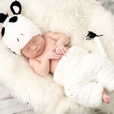 Urabe Masaakiが撮影した「ニューボーンフォト」の写真