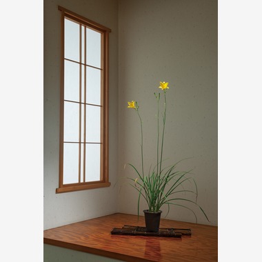 Herbest Productsが撮影した「静物」の写真