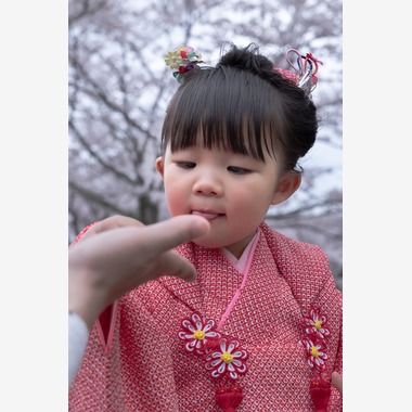 ミヤタカズコが撮影した「ファミリー写真」の写真