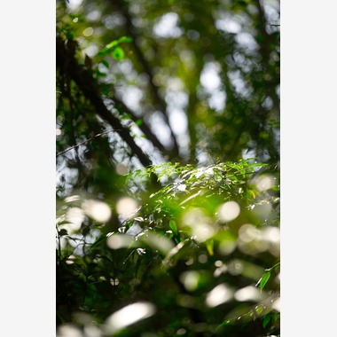 Tak Ogawa photographerが撮影した「風景写真」の写真