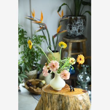 三浦希衣子が撮影した「雑誌お店紹介」の写真