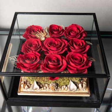 岩坪眞一郎が撮影した「商品または作品」の写真