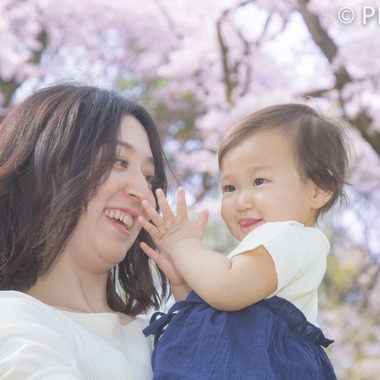 フォトアイルが撮影した「」の写真