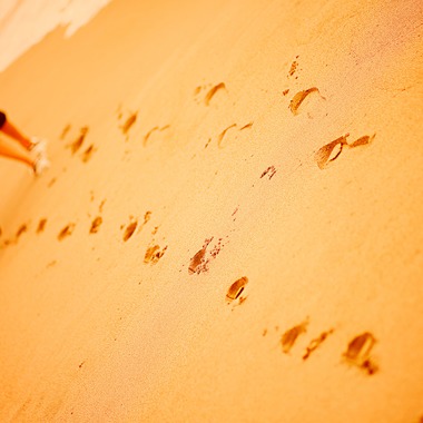 Wedding Produce FILが撮影した「フォトギャラリー」の写真