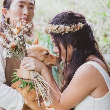 photographer が撮影した「」の写真