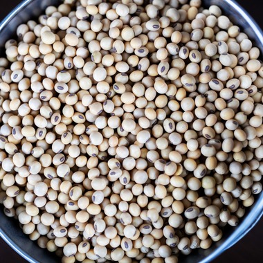 写真家 越智貴雄が撮影した「料理写真」の写真