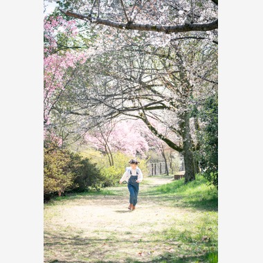 戸澤麻衣が撮影した「昭和記念公園で新一年生の撮影」の写真