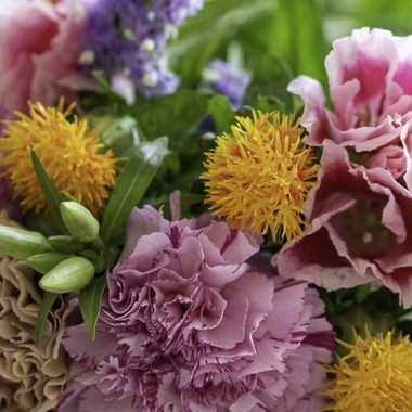 ミヤタカズコが撮影した「花のある生活」の写真