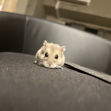 たそ屋が撮影した「名古屋市」の写真