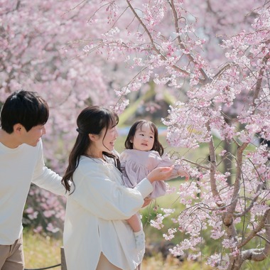 ARAI MAGICが撮影した「桜バースデーフォト」の写真