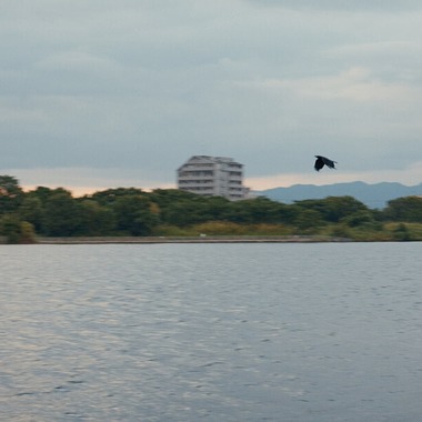 児玉 一成が撮影した「ミュージックビデオ」の写真