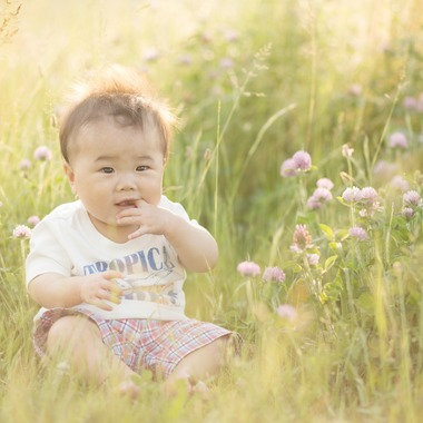すずき写真事務所が撮影した「大阪キッズ」の写真