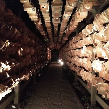 風の彩水の音が撮影した「七五三向け神社」の写真