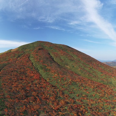 studio風集が撮影した「ドローン」の写真