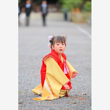 デザイン＆フォト内藤が撮影した「七五三詣り」の写真