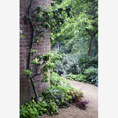 Photo taken by Lucky Sliver Sixpence - Romantic Park Plan