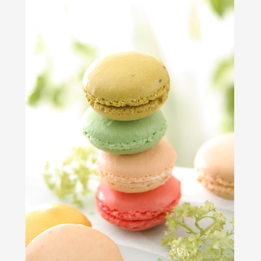 ロフト ムゥが撮影した「料理」の写真