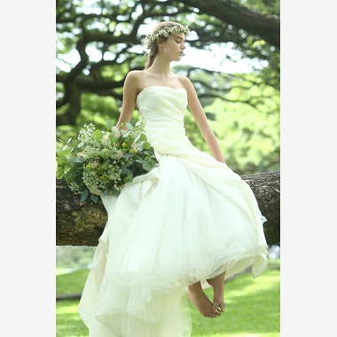 2cconcept (梅田福夫)が撮影した「フォトギャラリー」の写真