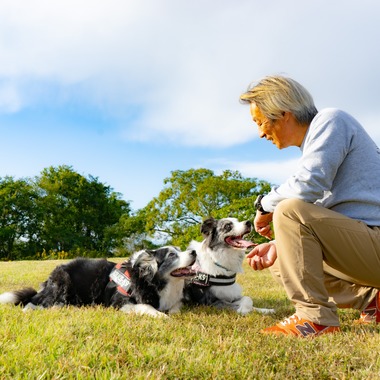 フォトグラフ山王が撮影した「ドッグフォトポートフォリオ」の写真