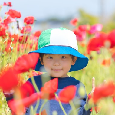 YVLが撮影した「作例」の写真