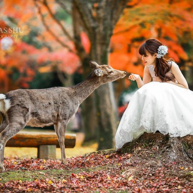 Lucas Shu Photographyが撮影した「Lucas Shu 作品集」の写真