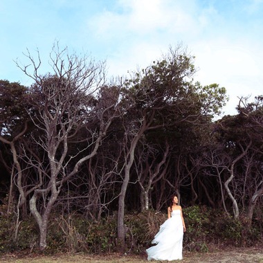 STUDIO GIROUX (薩摩秀二)が撮影した「フォトギャラリー」の写真