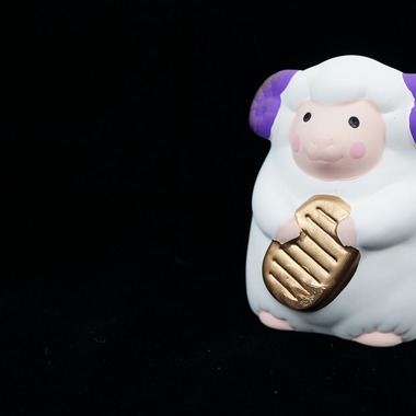 出張撮影のメモリーズが撮影した「商品撮影（アラカルト）」の写真