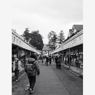 PhotoBaseありよしが撮影した「旅先での記念撮影」の写真