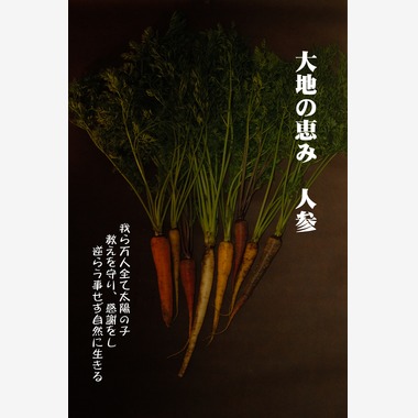 十時写真事務所が撮影した「前撮り/後撮り出張撮影」の写真