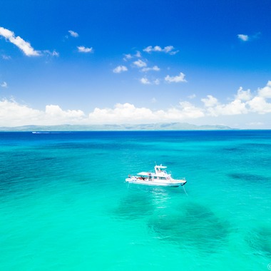 NocapVPGが撮影した「48％」の写真