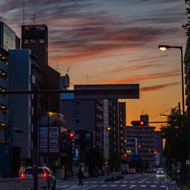 ハイナ　マテウスが撮影した「陰翳礼讃」の写真