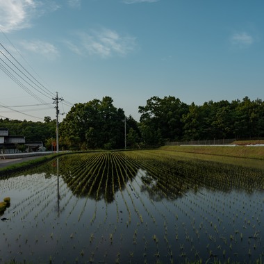 クリエイティブツリーが撮影した「風景・ドローン写真」の写真