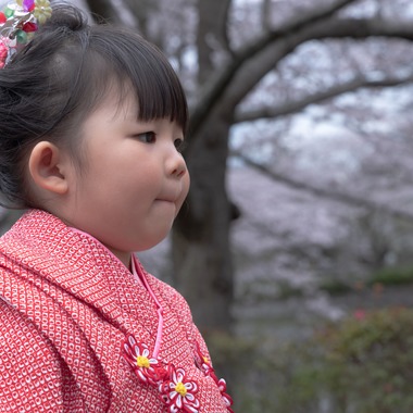 ミヤタカズコが撮影した「ファミリー写真」の写真