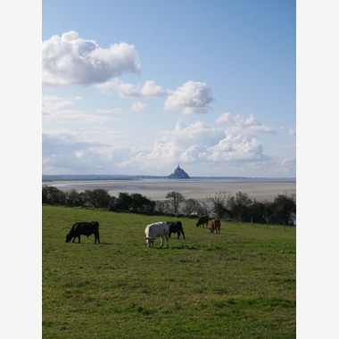 ant10.が撮影した「Paris」の写真