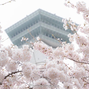 株式会社バックオフィスアクティが撮影した「風景、建築物、料理」の写真