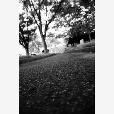 細部　歩が撮影した「風景等」の写真