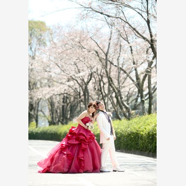 KIKIウェディングが撮影した「桜と広島城」のウェディングフォト