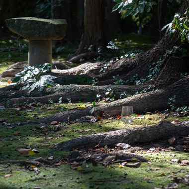 デグチマミが撮影した「商品撮影」の写真