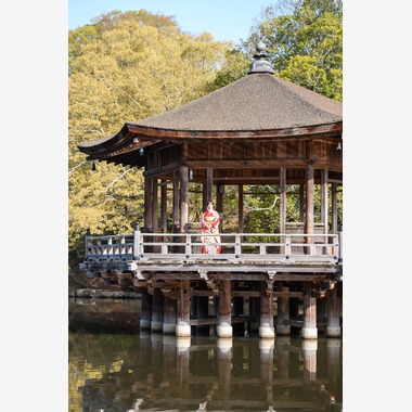 Visual Imagingが撮影した「振袖桜ロケーション撮影」の写真