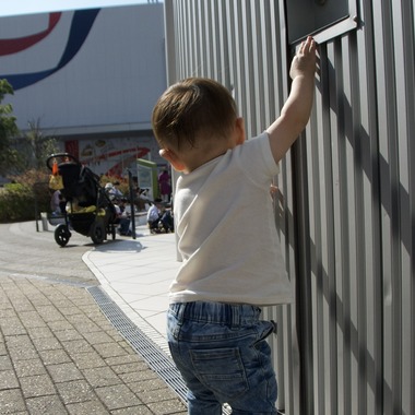 小林　碧が撮影した「いつもの公園で」の写真