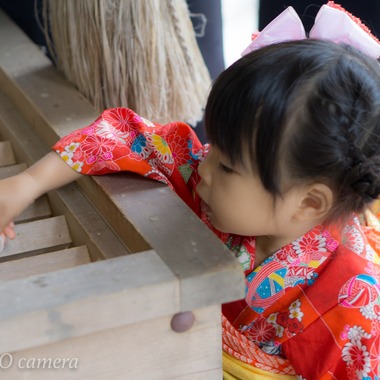 出張撮影サービス　kuro NICO cameraが撮影した「3歳女の子＊七五三＠静岡」の写真