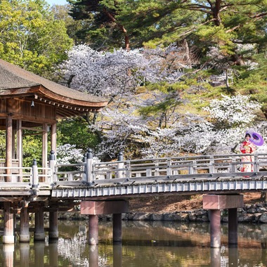 Visual Imagingが撮影した「振袖桜ロケーション撮影」の写真