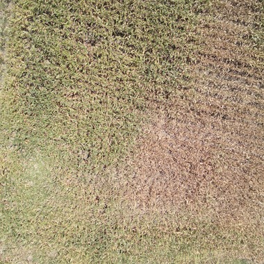 アナハイムエレクトロニクスが撮影した「震災農地調査」の写真