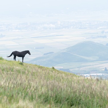 ハネムーンアベニューが撮影した「審査用 （建物、部屋、風景）」の写真