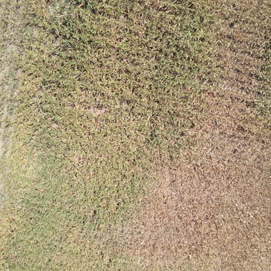 アナハイムエレクトロニクスが撮影した「震災農地調査」の写真