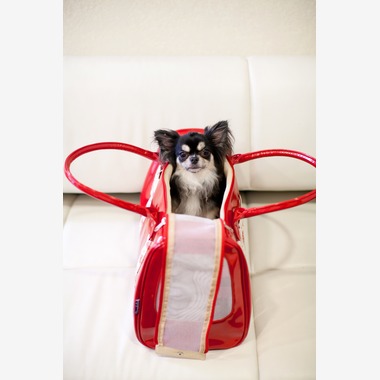 Photo taken by ecoo - Studio shooting